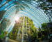 Top 5 Romantic Things to Do for Couples in Singapore